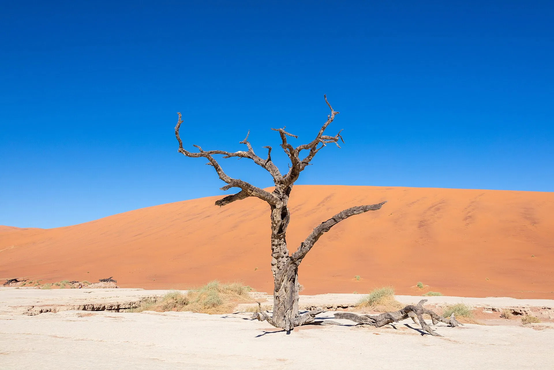 Namibia: Earth’s largest known meteorite still lies where it fell.
