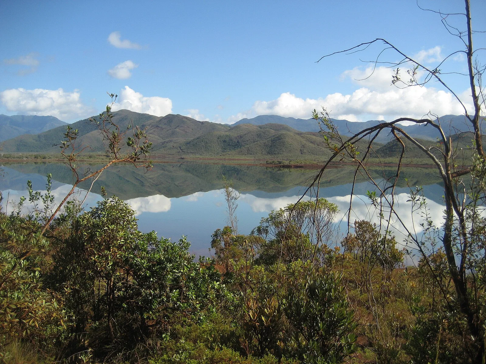 Parc provincial de la Rivière Bleue, New Caledonia