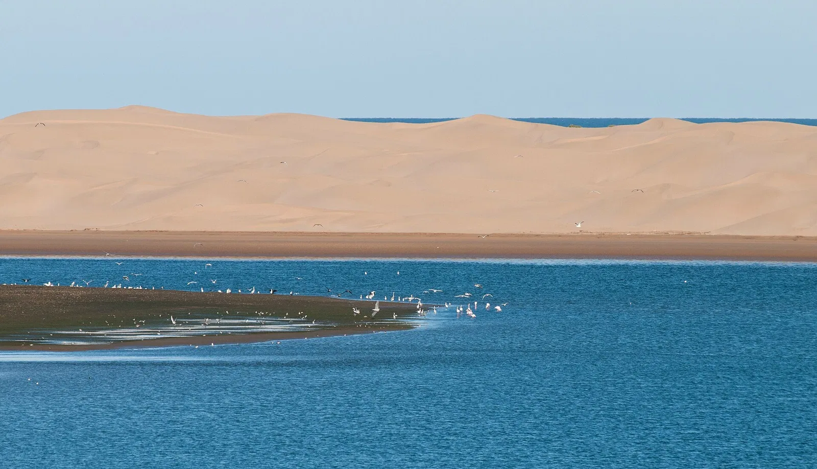 Western Sahara: Bou Craa’s phosphate reaches the coast on a conveyor across the desert.