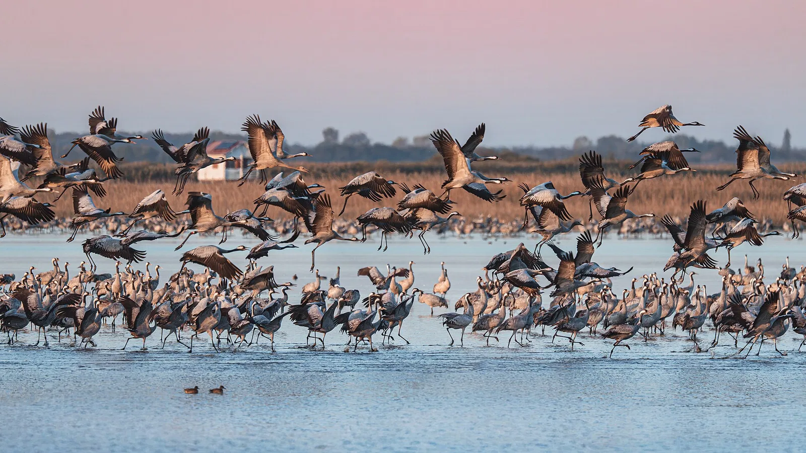 Hortobágy National Park, Hungary