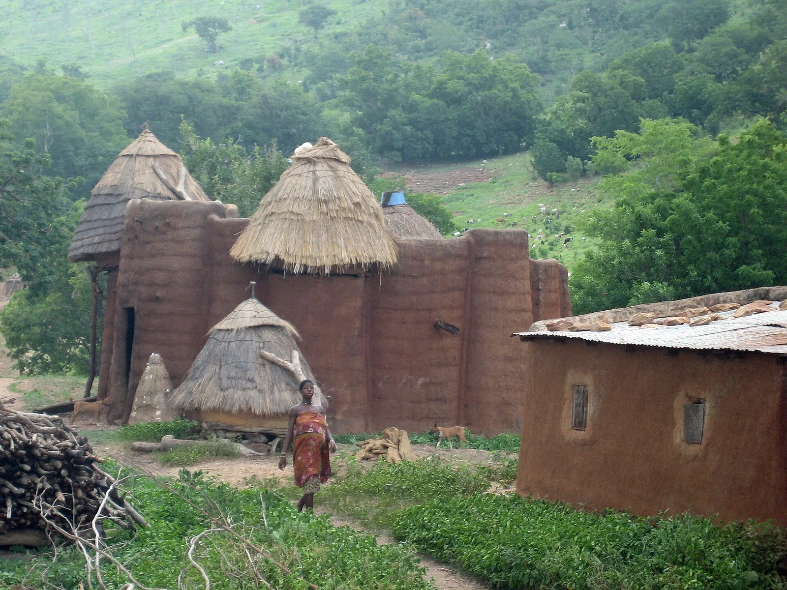 Togo: Part of Togoland voted itself into Ghana before Ghana existed.