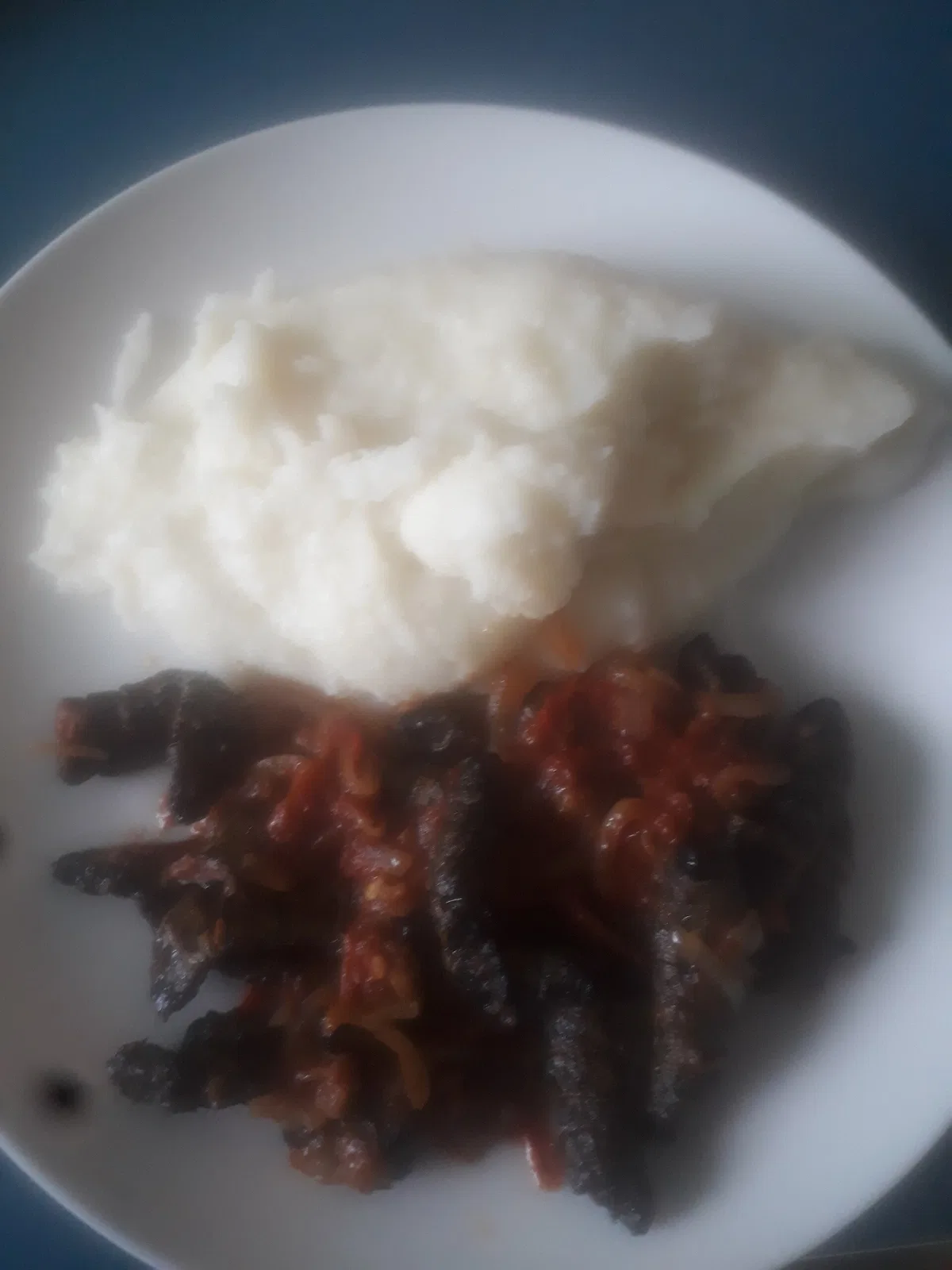 Mopane worm — Zimbabwe