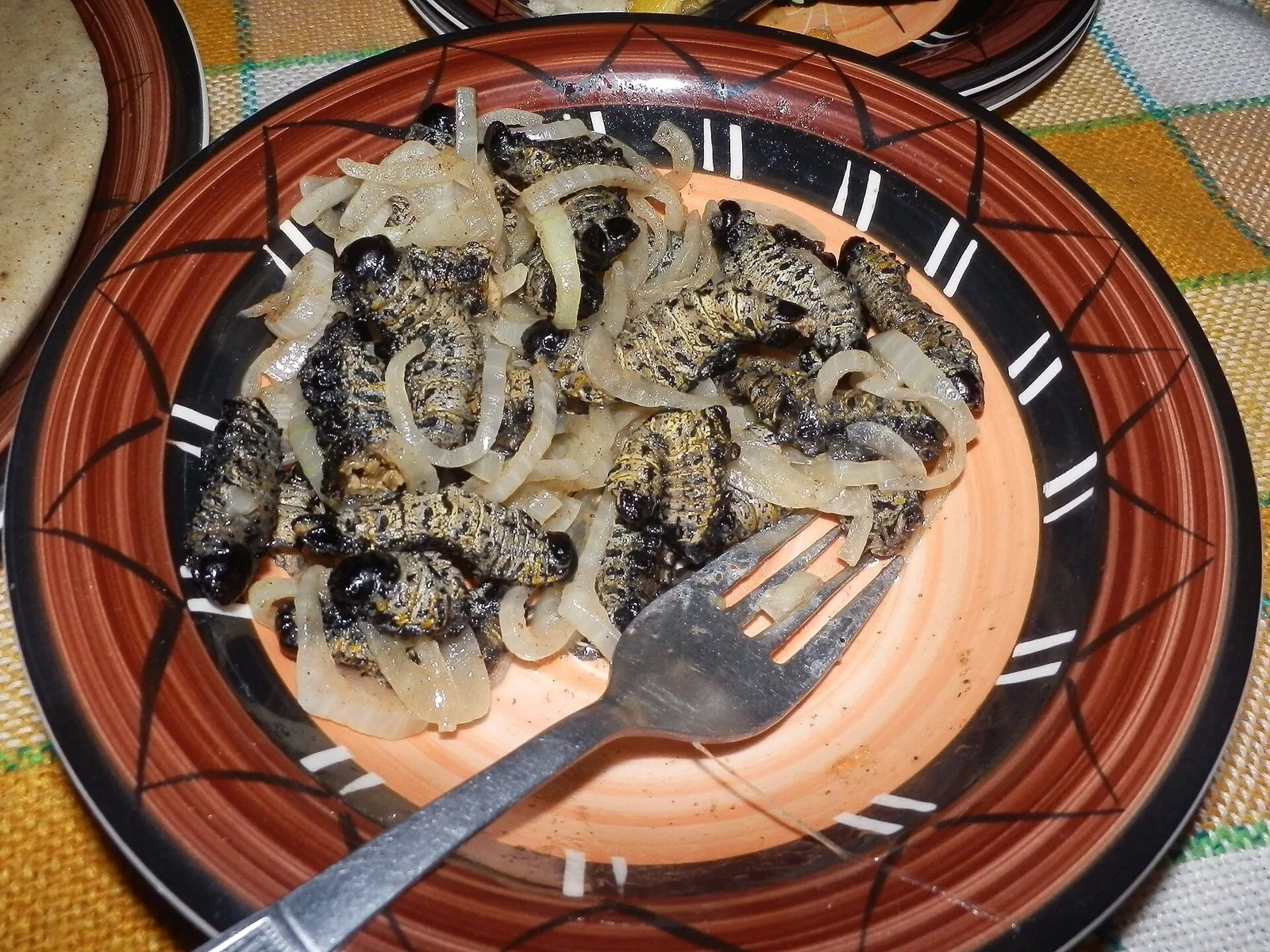 Mopane worm — Namibia